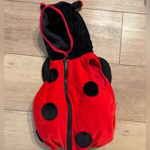 Ladybug Kids Halloween Costume
